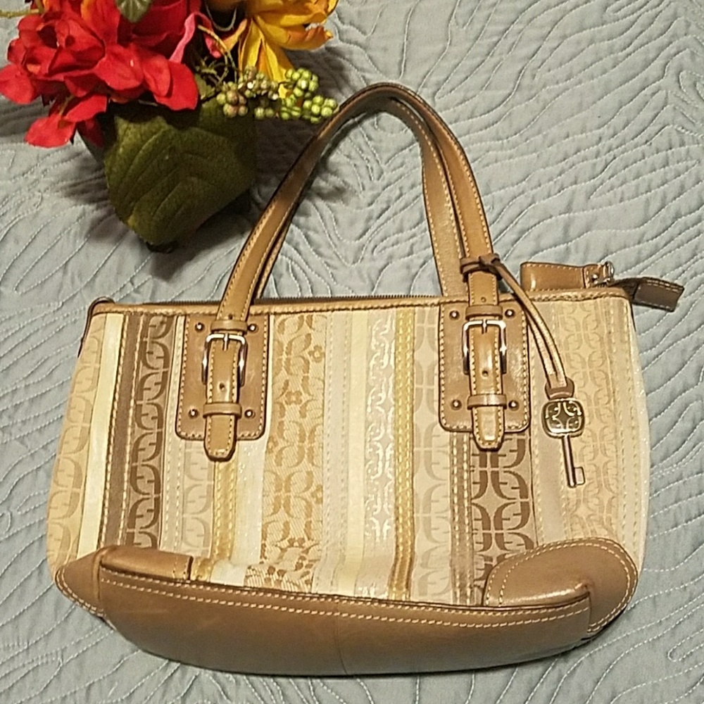 Fossil purse